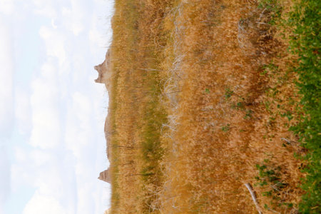 Views from the Notch Trail, Badlands National Park, South Dakotaの写真素材