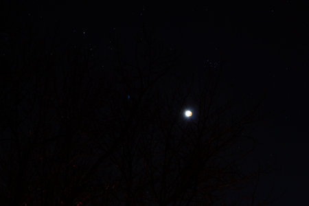 Partial Lunar Eclipse of November 19, 2021