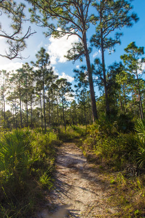 Oxbow eco-center, Fort Pierce, Floridaの写真素材