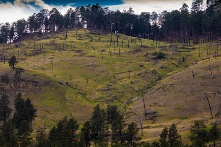 Devil's Tower National Monument, Wyomingの写真素材