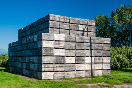 Large stack of wooden boxes outdoorsの写真素材