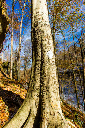 Hemlock Cliffs in Autumn after a light snow, Indiana