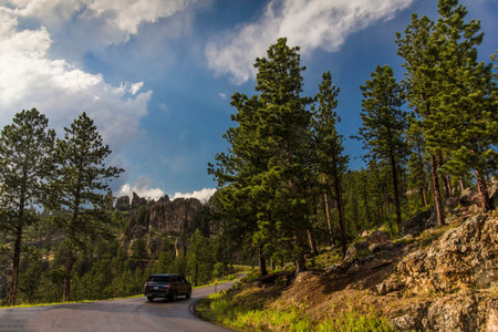 View from the Needles Highway in Summer, South Dakotaの写真素材