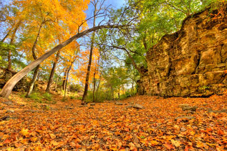 Indian Village Canyon in Fall, Columbus, Ohioの写真素材