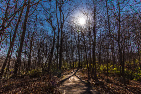 Donegal Cliffs Park During Autumn, Dublin, Ohio
