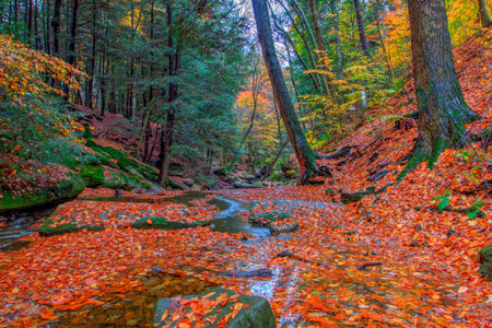 View of Dundee Falls in Autumn, Beach City Wilderness Area, Ohioの写真素材