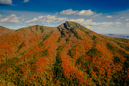 View of Linville Gorge in Autumn, North Carolinaの写真素材