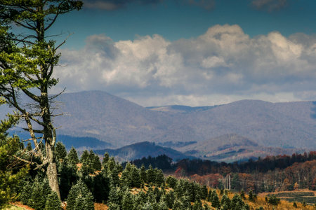 Blue Ridge Mountains in Autumn, North Carolinaの写真素材