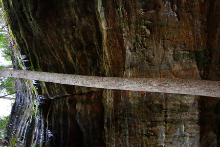 Views at Whispering Cave, Hocking Hills State Park, Ohioの写真素材