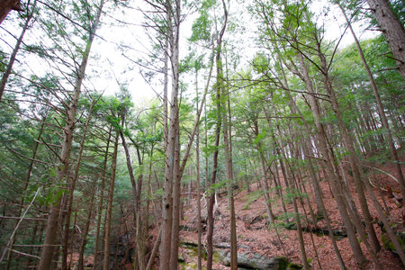 Views at Whispering Cave, Hocking Hills State Park, Ohio