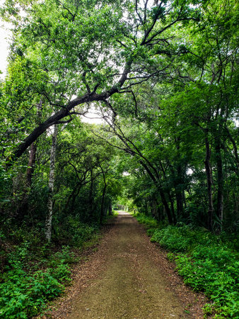Lake Apopka Loop Trail, Florida