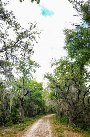 Lake Apopka Loop Trail, Floridaの写真素材