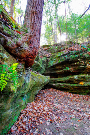 View of Rockhouse, Hocking Hills State Park, Ohioの写真素材