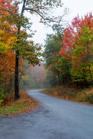 View of the Massanutten Scenic Drive in Autumn, Virginiaの写真素材