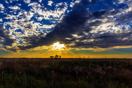 South Florida Ranchland Seen in the Evening
