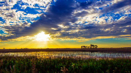 South Florida Ranchland Seen in the Evening