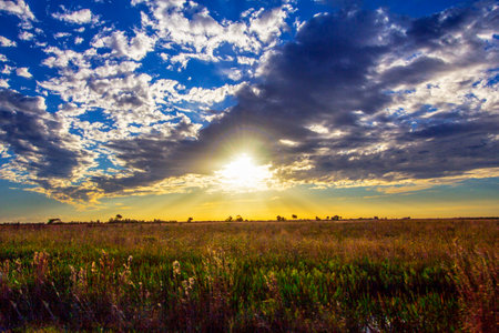 South Florida Ranchland Seen in the Eveningの写真素材