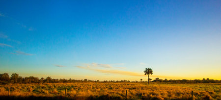 South Florida Ranchland Seen in the Evening