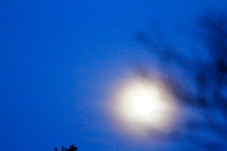 Full Moon Seen During an Early Evening