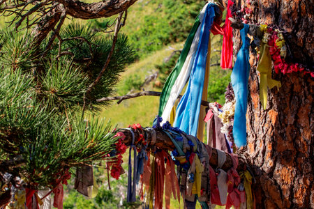 Prayer Flags, Bear Butte State Park, South Dakotaの写真素材