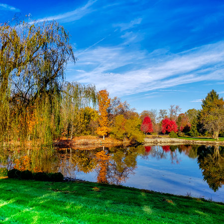 Small Pond Surrounded by Trees with Autumn Colorの写真素材