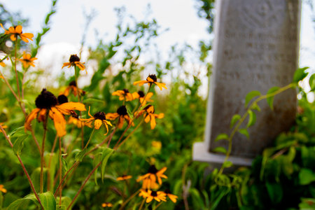 Smith Cemetery State Nature Preserve in Summer, Ohioの写真素材