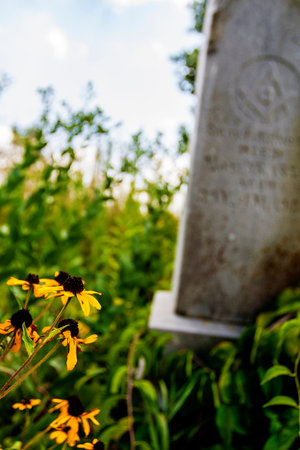 Smith Cemetery State Nature Preserve in Summer, Ohioの写真素材