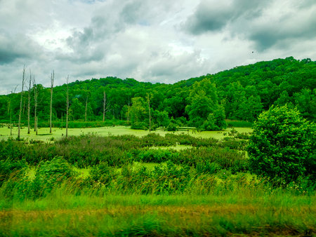 Lower Killbuck Creek Wildlife Area, Holmes County, Ohioの写真素材