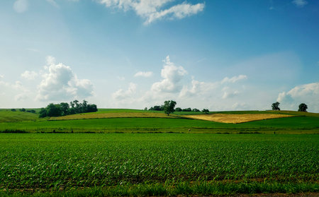 Rural Landscape in Late Spring, Holmes County, Ohio