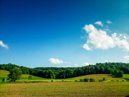 Rural Landscape in Late Spring, Holmes County, Ohio
