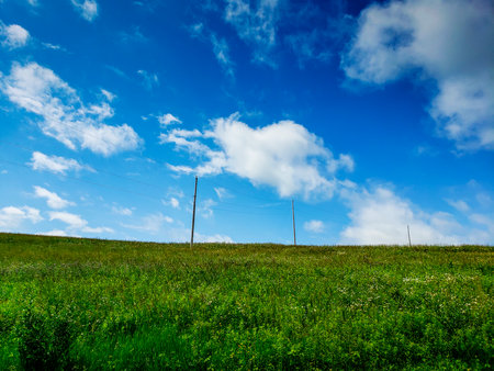 Rural Landscape in Late Spring, Holmes County, Ohioの写真素材