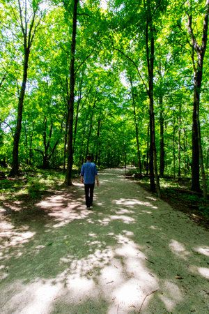 Views at Charleston Falls Preserve, Tipp City, Ohioの写真素材