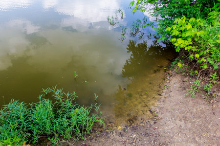 O'Shaughnessy Nature Preserve, Dublin, Ohioの写真素材