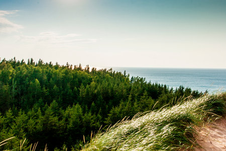 Pictured Rocks National Lakeshore, Michiganの写真素材