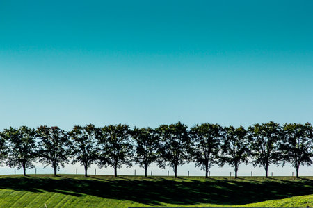 Line of Trees on Top of a Hill, Tuscarawas, County, Ohioの写真素材