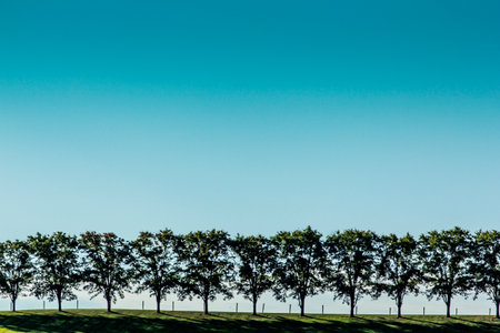 Line of Trees on Top of a Hill, Tuscarawas, County, Ohioの写真素材