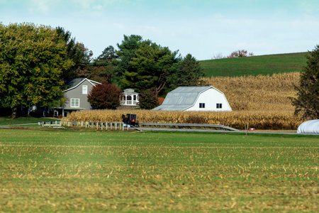 Rural Landscapes in Holmes County, Ohio in Autumnの写真素材