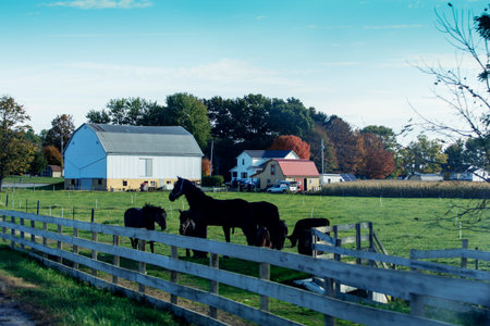 Rural Landscapes in Holmes County, Ohio in Autumn
