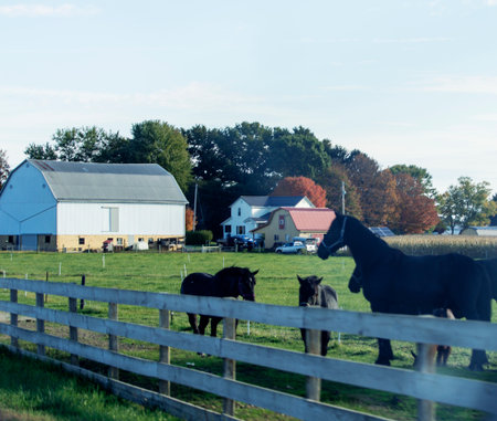 Rural Landscapes in Holmes County, Ohioの写真素材