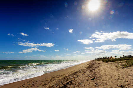 Sunny Day at the Beach, Fort Pierce, Floridaの写真素材