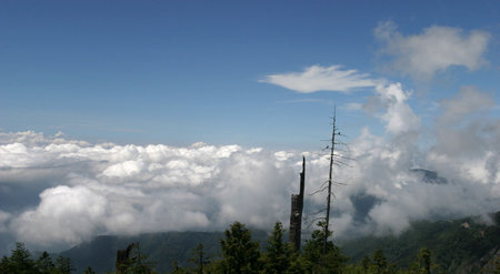 high mountain in Taiwanの写真素材