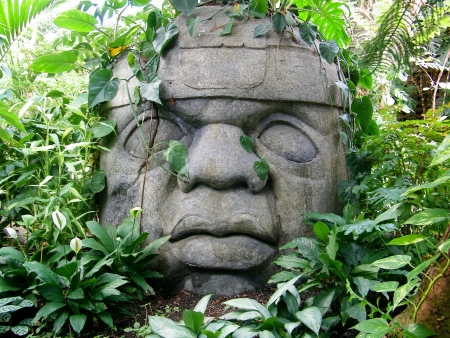 Jungle Statueの写真素材