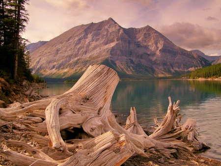Quiet Mountain Lake at sunsetの写真素材
