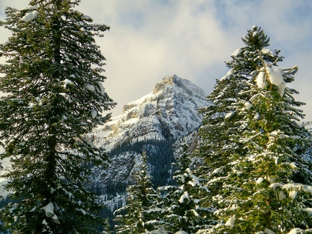 The scene around Lake Louise In Winterの写真素材