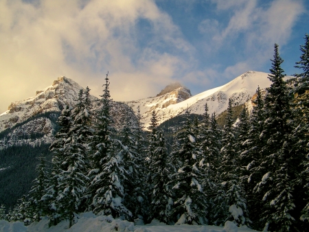 Lake Louise In Winterの写真素材