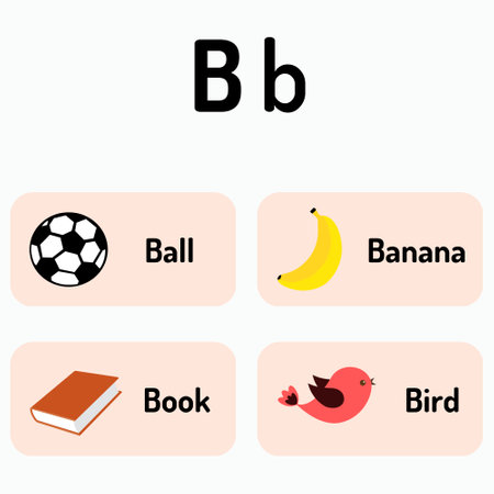 Alphabets for children. Education. Alphabets Bb. Alphabet. Children Education. B. Bbのイラスト素材
