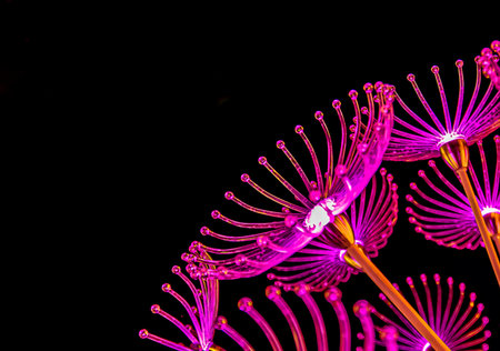 Molded glass flower shapes reflecting light into the nigh during the Loy Kratong Festival in Thailand.の写真素材