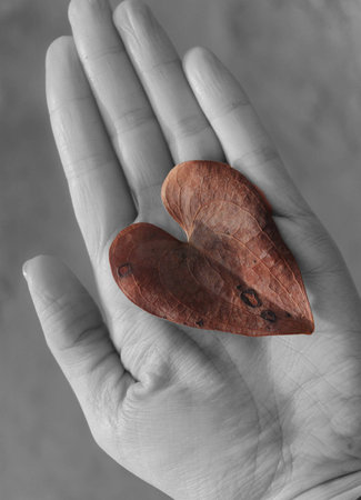 Black And White Hand Holding Brown Leaf