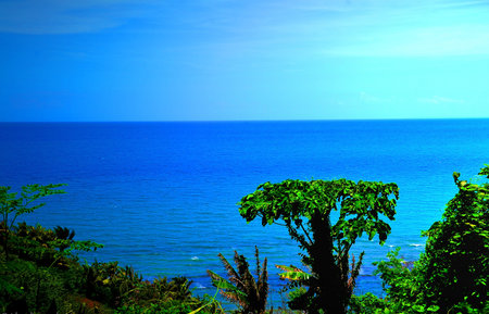 Pacific Blue