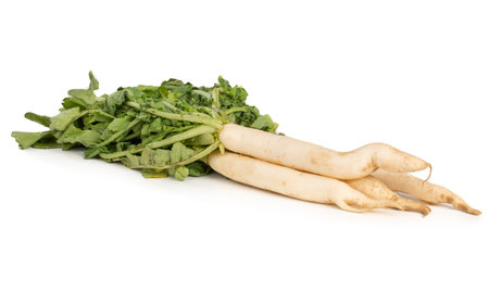 Fresh Healthy Daikon Radishes or Mooli Isolated on White Backgroundの写真素材